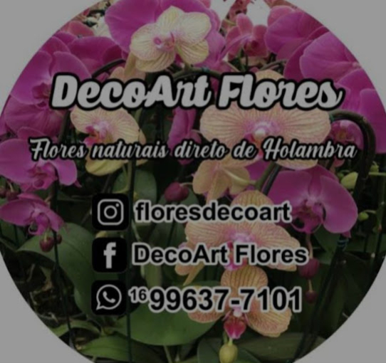 DecoArt Flores São Carlos SP